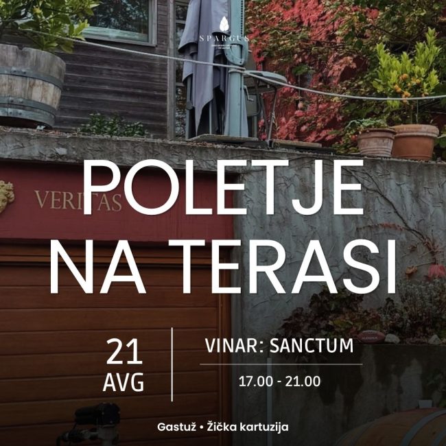 Poletje na terasi z vinsko hišo Sanctum na terasi Gastuža v Žički kartuziji.